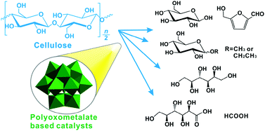 Graphical abstract: Polyoxometalates as efficient catalysts for transformations of cellulose into platform chemicals