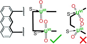 Graphical abstract: Co-linear, double-uranyl coordination by an expanded Schiff-base polypyrrole macrocycle