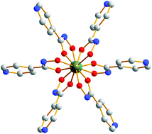 Graphical abstract: Encapsulation of a guest sodium cation by iron(iii) tris-(hydroxamate)s