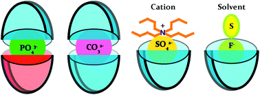 Graphical abstract: Selective inclusion of PO43− within persistent dimeric capsules of a tris(thiourea) receptor and evidence of cation/solvent sealed unimolecular capsules