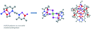 Graphical abstract: A 1D Schiff base zinc polymer as a versatile metallo-ligand for the synthesis of polynuclear zinc cages