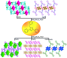 Graphical abstract: Inorganic–organic hybrid compounds based on octamolybdates and multidentate N-donor ligand: syntheses, structures, photoluminescence and photocatalysis