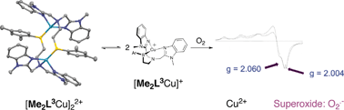 Graphical abstract: Structural, spectroscopic, and electrochemical properties of tri- and tetradentate N3 and N3S copper complexes with mixed benzimidazole/thioether donors