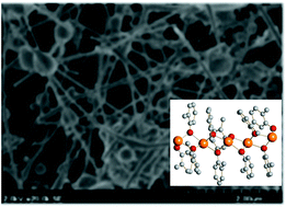 Graphical abstract: Tin(ii) amide/alkoxide coordination compounds for production of Sn-based nanowires for lithium ion battery anode materials