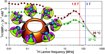 Graphical abstract: Gadolinium complexes of monophosphinic acid DOTA derivatives conjugated to cyclodextrin scaffolds: efficient MRI contrast agents for higher magnetic fields