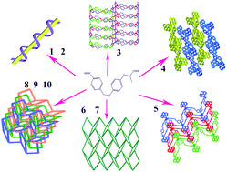 Graphical abstract: A series of chiral coordination polymers containing helicals assembled from a new chiral (R)-2-(4′-(4′′-carboxybenzyloxy)phenoxy)propanoic acid: syntheses, structures and photoluminescent properties