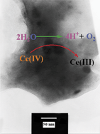 Graphical abstract: Nanoscale manganese oxide within Faujasite zeolite as an efficient and biomimetic water oxidizing catalyst