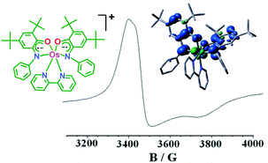 Graphical abstract: The intricate paramagnetic state of [Os(Q)2(bpy)]+, Q = 4,6-di-tert-butyl-o-iminobenzoquinone