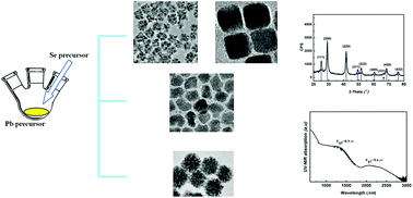 Graphical abstract: A simple route for synthesis of PbSe nanocrystals: shape control by ligand and reaction time