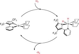 Graphical abstract: An iridium–pyridylpyrrolide complex exhibiting reversible binding of H2