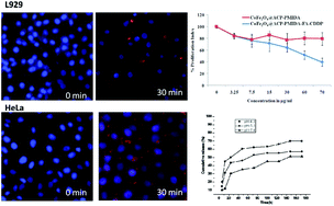 Graphical abstract: Multifunctional magnetic calcium phosphate nanoparticles for targeted platin delivery