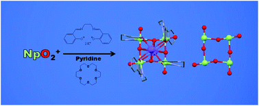 Graphical abstract: A tetrameric neptunyl(v) cluster supported by a Schiff base ligand