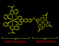 Graphical abstract: Water-soluble, luminescent iridium(iii)–ytterbium(iii) complexes using dipyrido[3,2-a:2′,3′-c]phenazine derivatives as bridging units