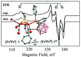 Graphical abstract: Mixed-valence [FeIFeII] hydrogenase active site model complexes stabilized by a bidentate carborane bis-phosphine ligand