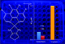 Graphical abstract: Cytotoxic platinum(ii) intercalators that incorporate 1R,2R-diaminocyclopentane