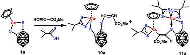 Graphical abstract: Reactivity of 16-electron half-sandwich cobalt compounds containing a chelating 1,2-dicarba-closo-dodecaborane-1,2-dithiolate ligand towards methyl propiolate and dithio ligands