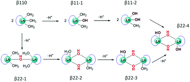 Graphical abstract: The formation stability, hydrolytic behavior, mass spectrometry, DFT study, and luminescence properties of trivalent lanthanide complexes of H2ODO2A