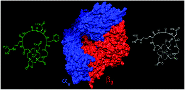 Graphical abstract: Cyclization of RGD peptide sequences via the macrocyclic chelator DOTA for integrin imaging