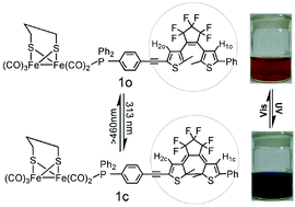 Graphical abstract: Photoswitchable electrochemical behaviour of a [FeFe] hydrogenase model with a dithienylethene derivative