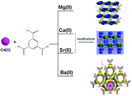 Graphical abstract: Using alkaline-earth metal ions to tune structural variations of 1,3,5-benzenetricarboxylate coordination polymers