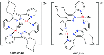 Graphical abstract: Self-assembly of isomeric clamshell dimers of platinum(ii)