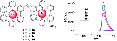 Graphical abstract: Synthesis and ECL performance of highly efficient bimetallic ruthenium tris-bipyridyl complexes