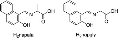 Graphical abstract: Rational design of two bpy-bridged 3D and 2D CoII open frameworks with similar amino-acid-based Schiff bases