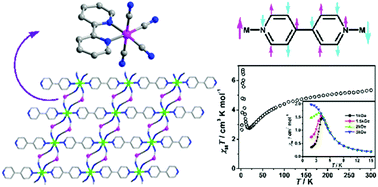 Graphical abstract: Magnetic properties of two 2D complexes based on 1D chain containing [Fe(bpy)(CN)4]− unit