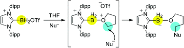 Graphical abstract: Tetrahydrofuran ring opening and related reactions with an N-heterocyclic carbene–boryl trifluoromethanesulfonate