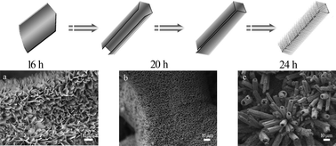 Graphical abstract: 3D hierarchically patterned tubular NiSe with nano-/microstructures for Li ion battery design