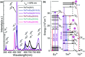 Graphical abstract: Codopant ion-induced tunable upconversion emission in β-NaYF4:Yb3+/Tm3+ nanorods