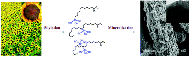 Graphical abstract: Mesostructured fatty acid-tethered silicas: sustaining the order by co-templating with bulky precursors