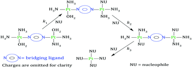 Graphical abstract: Mechanistic elucidation of linker and ancillary ligand substitution reactions in Pt(ii) dinuclear complexes