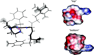 Graphical abstract: The unusual stabilization of the Ni2+ and Cu2+ complexes with NSFRY