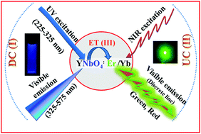 Graphical abstract: Probing a highly efficient dual mode: down–upconversion luminescence and temperature sensing performance of rare-earth oxide phosphors