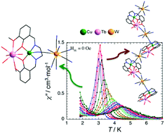 Graphical abstract: Self-assembly of [CuIITbIII]3+ and [W(CN)8]3− tectons: a case study of a mixture containing two complexes showing slow-relaxation of the magnetization