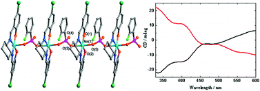 Graphical abstract: Chiral one-dimensional O–P–O bridged MnIII-Schiff base complexes