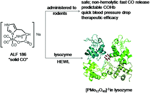 Graphical abstract: Characterization of a versatile organometallic pro-drug (CORM) for experimental CO based therapeutics