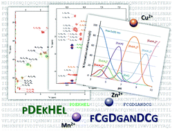 Graphical abstract: Interaction of divalent cations with peptide fragments from Parkinson's disease genes