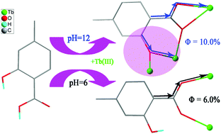 Graphical abstract: Unusual method for phenolic hydroxyl bridged lanthanide CPs: Syntheses, characterization, one and two photon luminescence