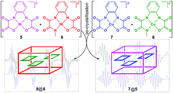 Graphical abstract: The formation of overlooked compounds in the reaction of methyl amine with the diethyl ester of o-phenylenebis(oxamic acid) in MeOH
