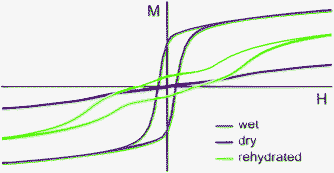 Graphical abstract: A water sensitive ferromagnetic [Ni(cyclam)]2[Nb(CN)8] network