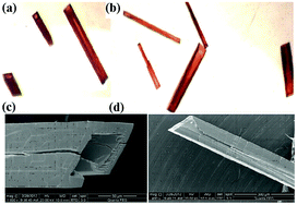 Graphical abstract: Heterometallic appended {MMnIII4} cubanes encapsulated by lacunary polytungstate ligands