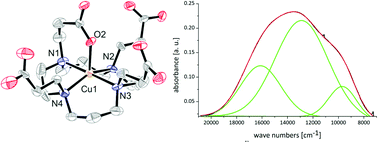 Graphical abstract: Copper(ii) chemistry of the functionalized macrocycle cyclam tetrapropionic acid