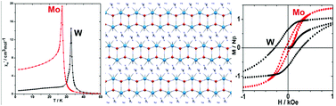 Graphical abstract: Incorporation of guanidinium ions in CuII-[MV(CN)8]3− double-layered magnetic systems