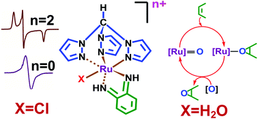 Graphical abstract: Electronic structure and catalytic aspects of [Ru(tpm)(bqdi)(Cl/H2O)]n, tpm = tris(1-pyrazolyl)methane and bqdi = o-benzoquinonediimine