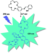 Graphical abstract: Crown ether-containing Schiff base as a highly efficient “turn-on” fluorescent sensor for determination and separation of Zn2+ in water