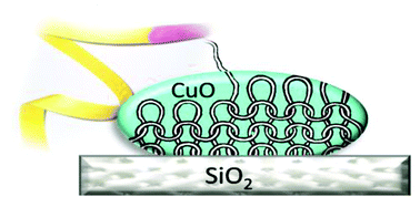 Graphical abstract: Unravelling the properties of supported copper oxide: can the particle size induce acidic behaviour?