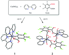 Graphical abstract: Hydrothermal synthesis of an ortho-metallated Co(iii) complex anchored by a carboxylate group with a selective oxidation catalytic property