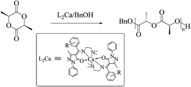 Graphical abstract: Ring-opening polymerization of l-lactide catalyzed by calcium complexes